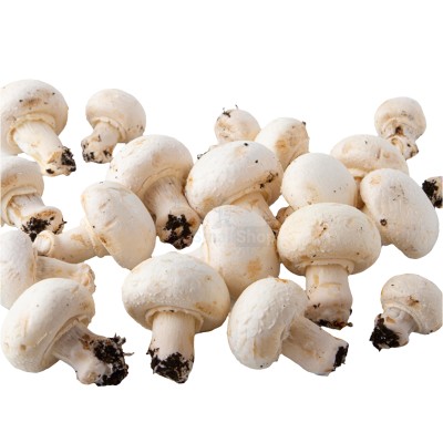 Шампиньоны свежие 500 г - купить в Тлиси